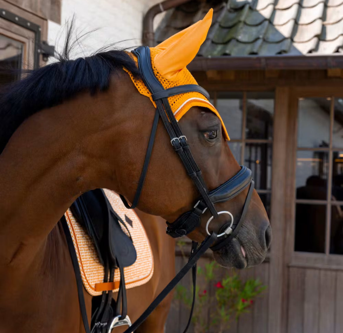 Kentucky Fly Veil Wellington Velvet Printing - Oransje