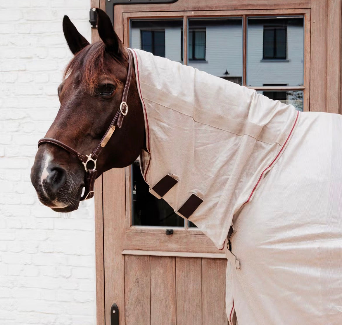 Kentucky Mesh Fly Rug Comfort Classic with Neck and Belly Cover