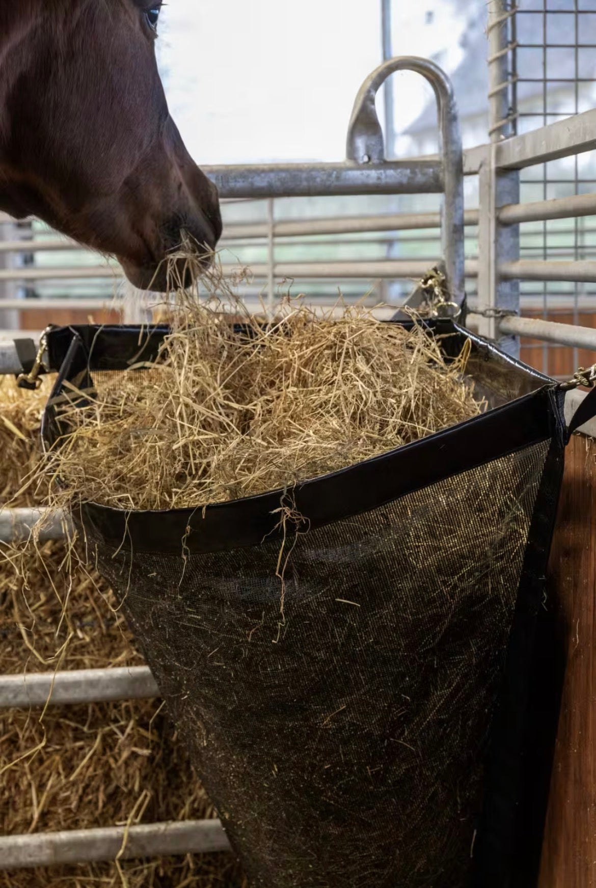 Kentucky Hay Bag Corner