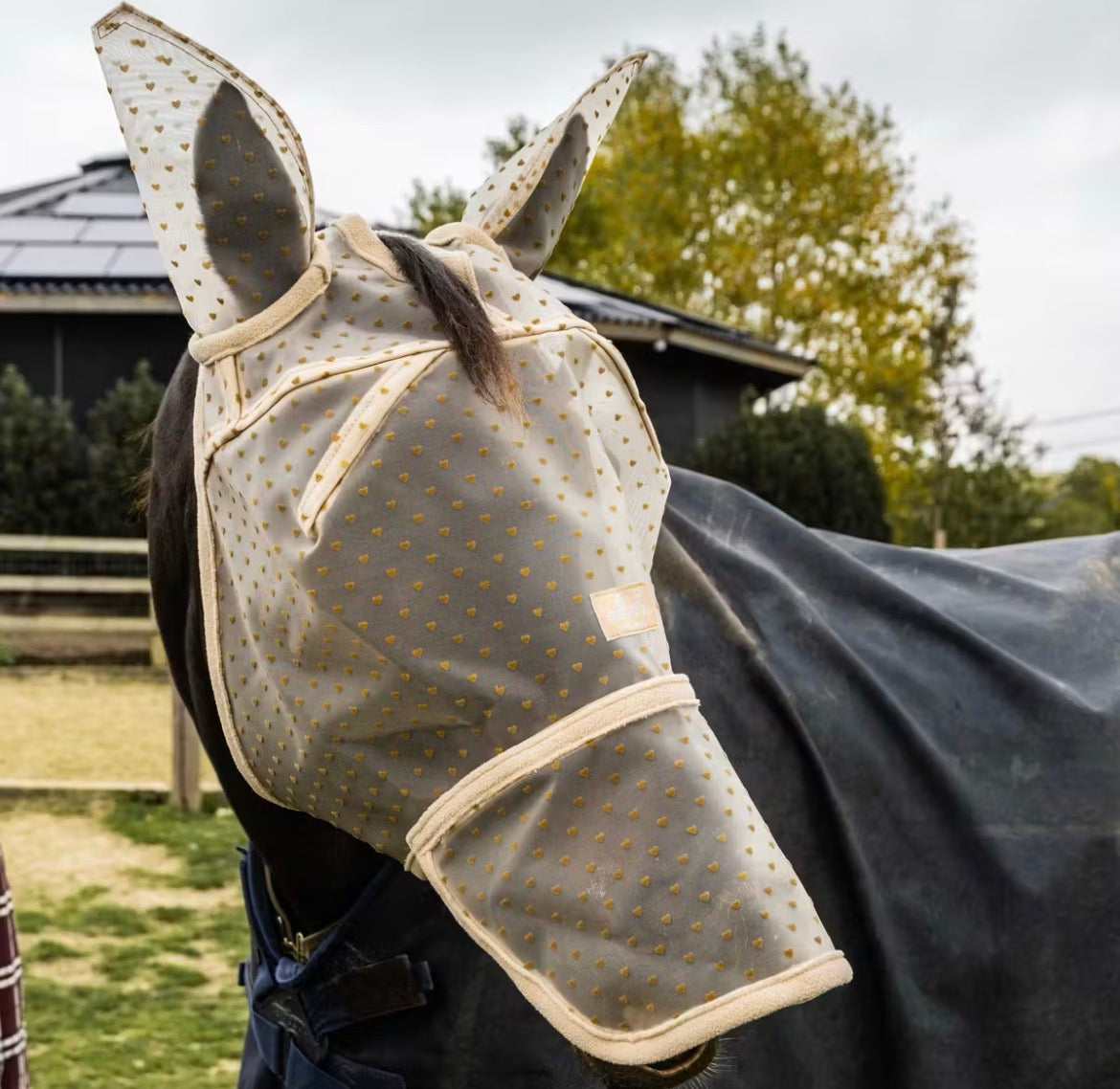 Kentucky Fly Mask Heart w/Ears And Nose Beige