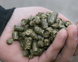Bertil's Timoteipellets